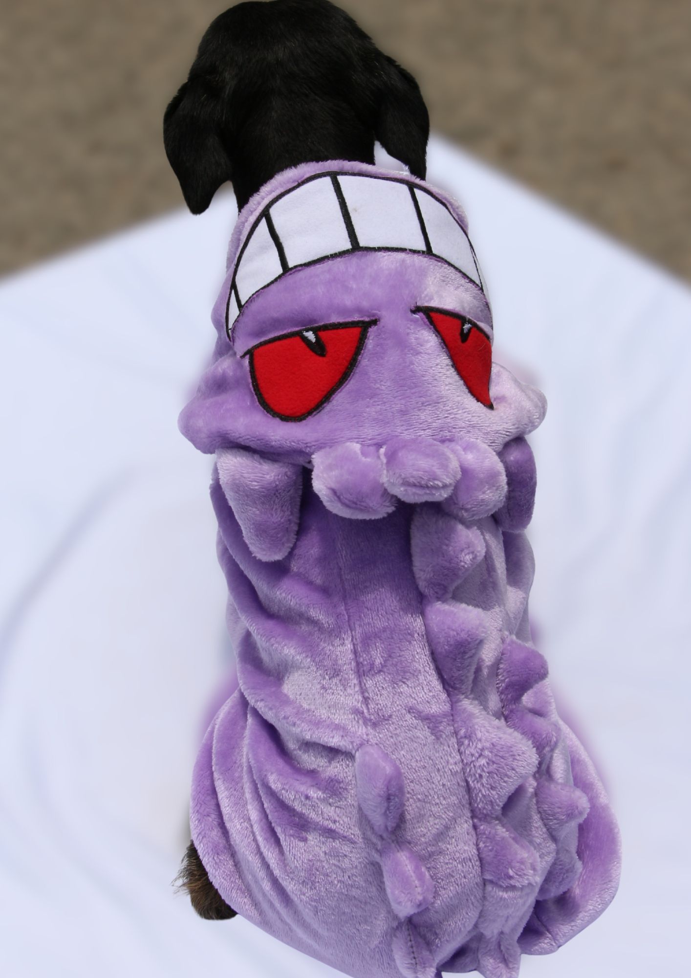 Casaca Animada Gengar